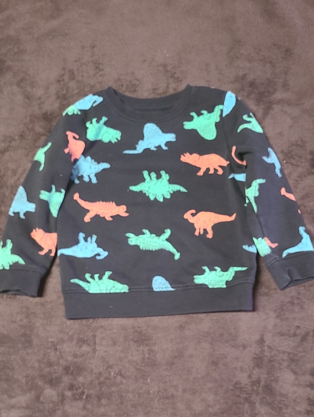 Cat & Jack Black Sweatshirt with Blue, Green & Orange Dinosaurs